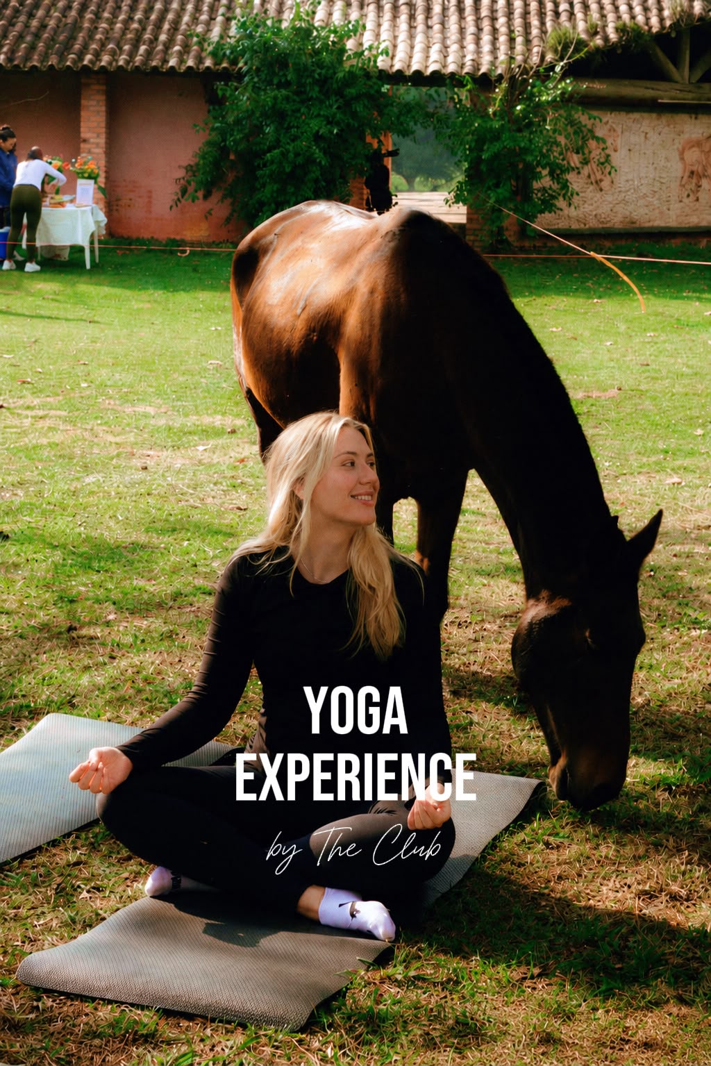 Experiência 5